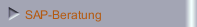 SAP-Beratung