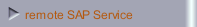 remote SAP Service